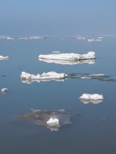 Historical Landmark «Dunkirk Lighthouse», reviews and photos, 1 Point Dr N, Dunkirk, NY 14048, USA