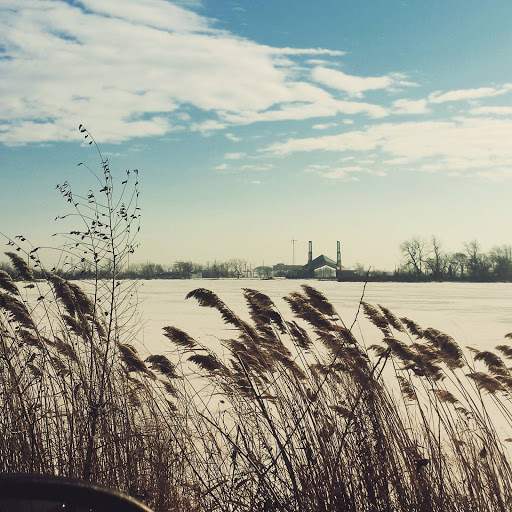 Live Music Venue «The Pavilion at Wolf Lake Memorial Park», reviews and photos, 2324 Calumet Ave, Hammond, IN 46320, USA