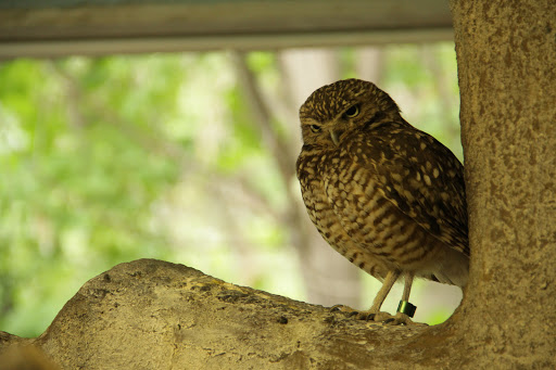 Zoo «Hogle Zoo», reviews and photos, 2600 Sunnyside Ave S, Salt Lake City, UT 84108, USA