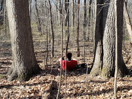 Park «Central City Park», reviews and photos, 36601 Ford Rd, Westland, MI 48185, USA