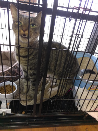 Pet Store «Pet Valu», reviews and photos, 1016 Beards Hill Rd, Aberdeen, MD 21001, USA