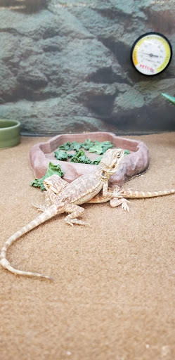 Pet Supply Store «Petco Animal Supplies», reviews and photos, 4012 W 27th Ave, Kennewick, WA 99337, USA