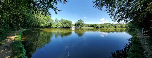 Fishing Store «Indian Creek Fishing & Fire Arms», reviews and photos, 3479 Mango Dr, Danielsville, PA 18038, USA