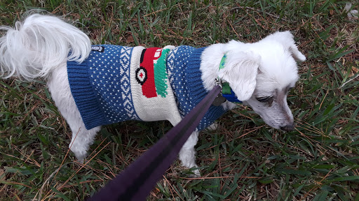 Park «Woodgate Park», reviews and photos, 2495 Countryside Blvd, Clearwater, FL 33763, USA