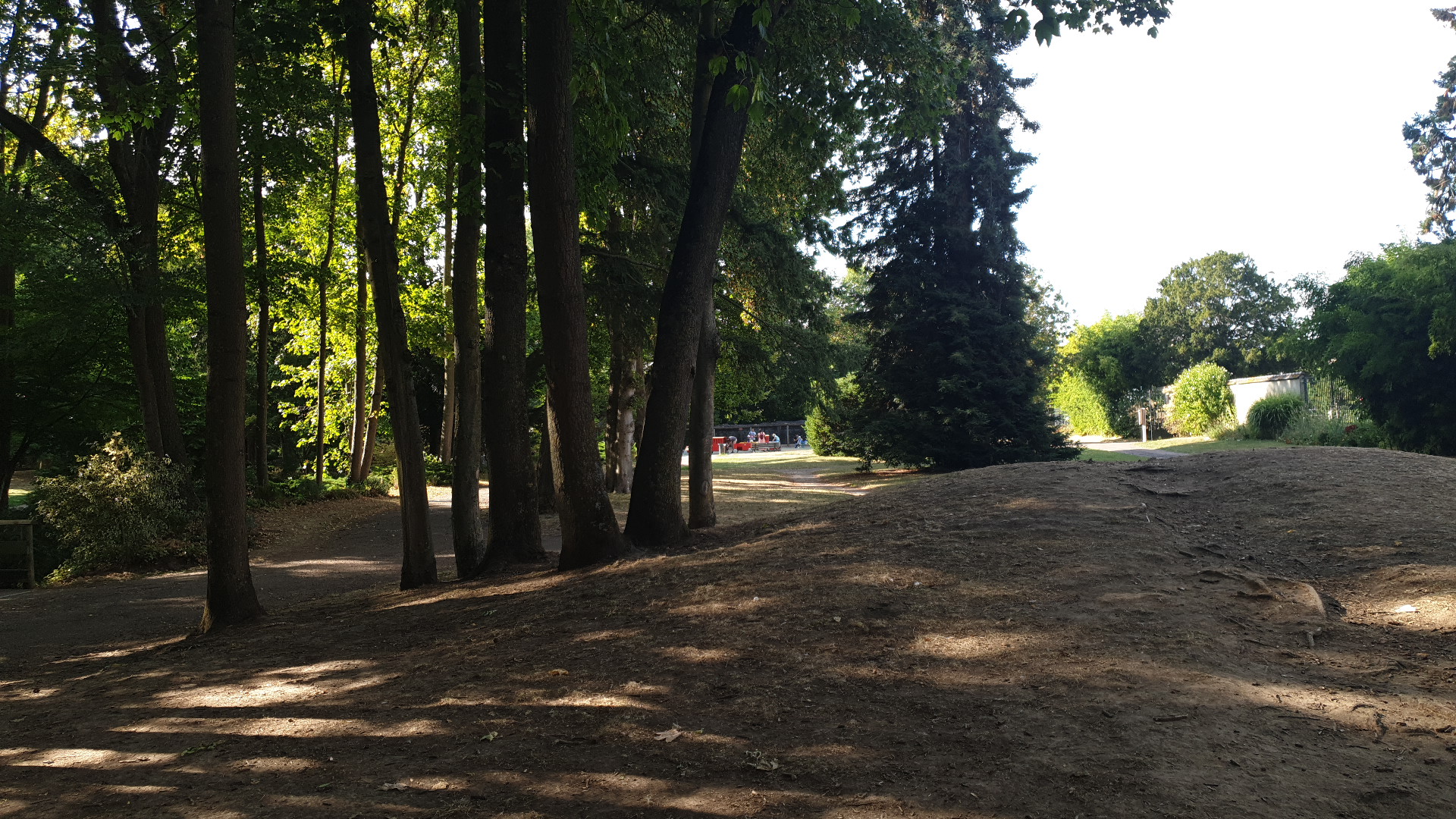 Photo n° 1 de l'avis de sacha. fait le 31/08/2022 à 15:27