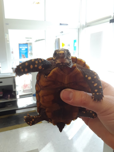 Pet Supply Store «Petco Animal Supplies», reviews and photos, 1337 N National Rd, Columbus, IN 47201, USA