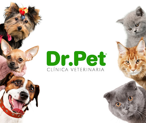 Clínica Veterinaria Dr. Pet - Recoleta