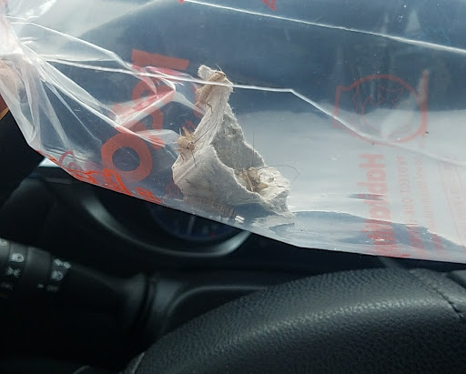 Pet Supply Store «Petco Animal Supplies», reviews and photos, 3495 Sports Arena Blvd, San Diego, CA 92110, USA