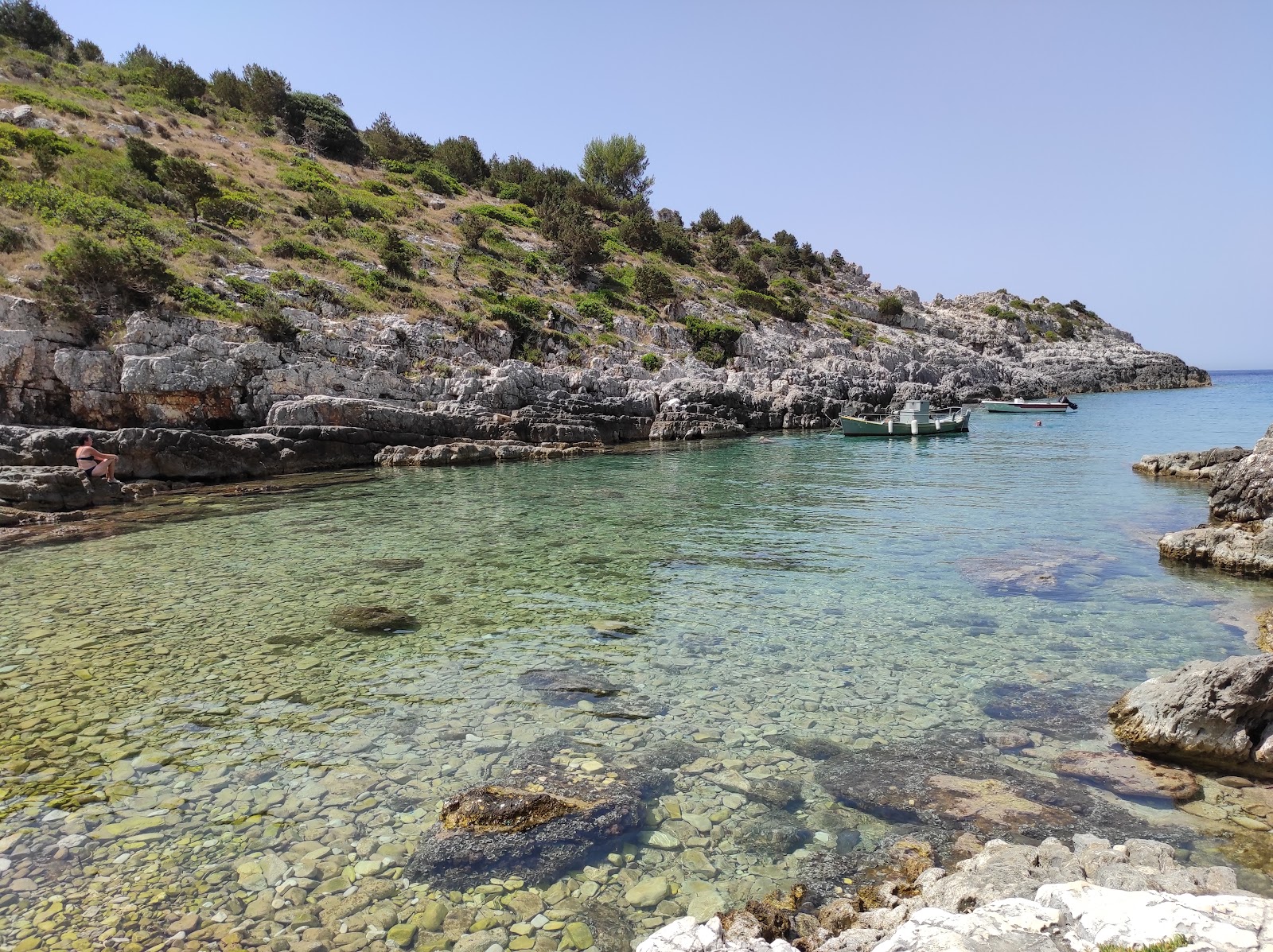 Avlaki Beach'in fotoğrafı çok temiz temizlik seviyesi ile