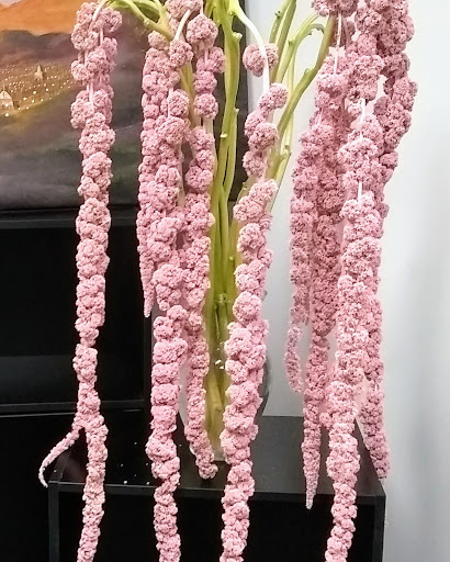 Florist «Botanica Wholesale Florist», reviews and photos, 3208 International Pl, Irving, TX 75062, USA