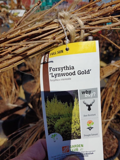 Home Improvement Store «The Home Depot», reviews and photos, 701 Boston Post Rd E, Marlborough, MA 01752, USA