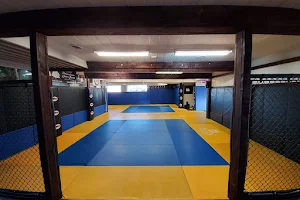 Arashi Brazilian Jiu Jitsu image