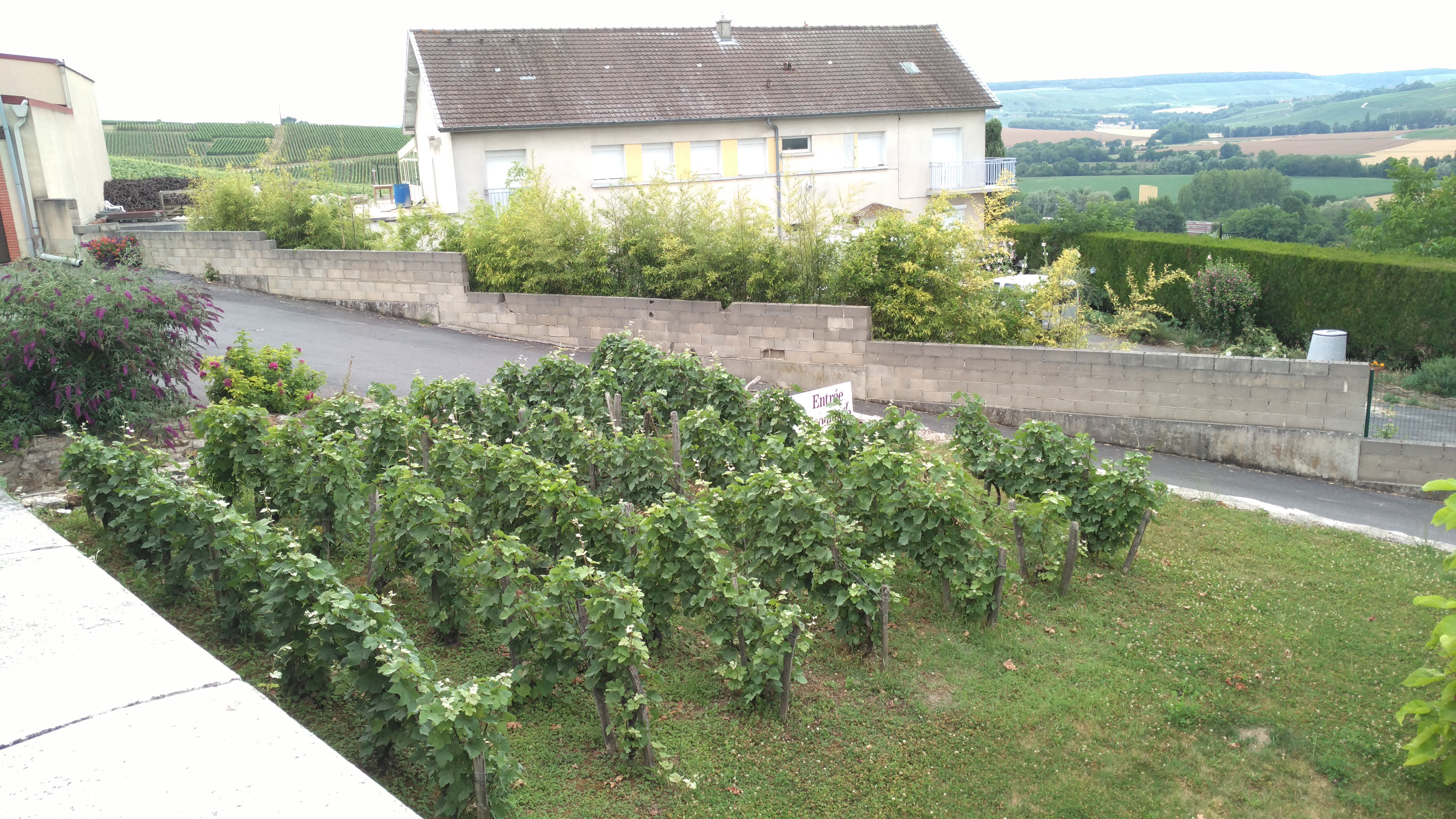 Photo n° 2 de l'avis de Ben.e fait le 03/11/2017 à 15:10