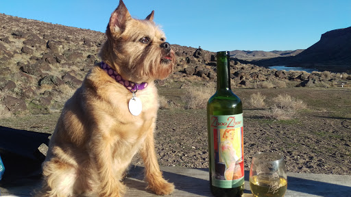 Winery «Hells Canyon Winery», reviews and photos, 18835 Symms Rd, Caldwell, ID 83607, USA