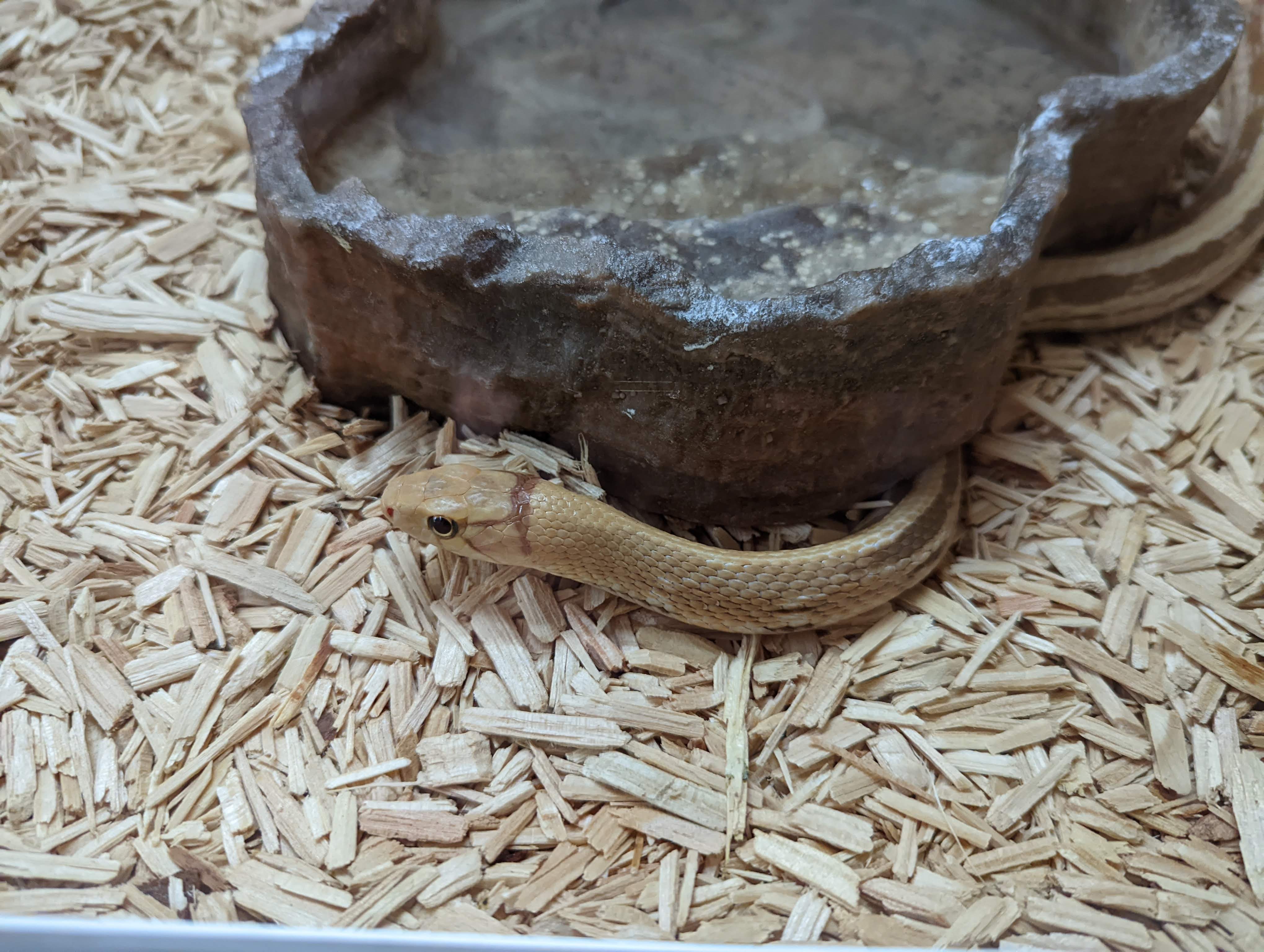 Photo n° 11 de l'avis de Mathieu.I fait le 07/05/2022 à 19:56