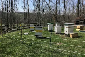 HarBee Beekeeping image