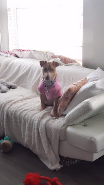 Mac's PET DEPOT Barkery - Photo 6 - Car repair in Milwaukee, WI, Milwaukee