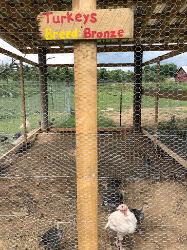 Produce Market «Richards Fruit Market», reviews and photos, 6410 Middle Rd, Middletown, VA 22645, USA