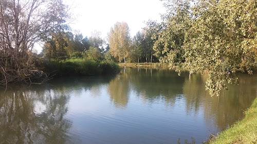 hôtels Les Cottages du Lac Plaisance