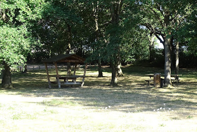 Etang de la Courzette à Maisonnais
