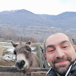Photo n°1 de l'avis de Vincenzo. fait le 03/01/2023 à 17:43 sur le  Agriturismo La Fattoria à Montagna in Valtellina