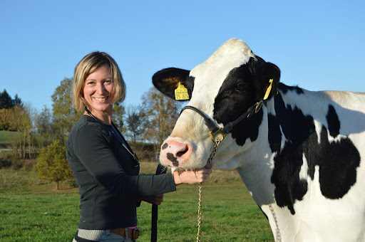 Groß- und Nutztierpraxis Dr. Mirjam Hildebrand unter Braunfels, 