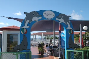 Cienfuegos Dolphinarium image