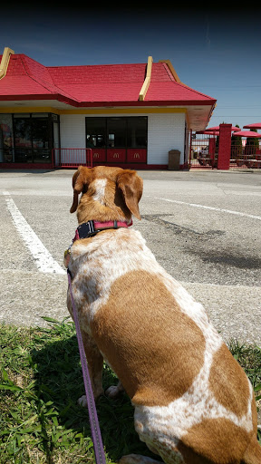 Pet Supply Store «Pet Supplies Plus», reviews and photos, 6030 Central Ave Suite A, Portage, IN 46368, USA