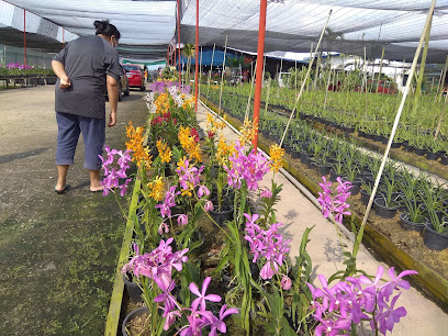 United Malaysian Orchids Sdn Bhd