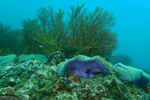Underwater Way image
