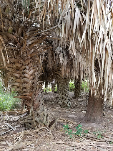 Park «Hugh Ramsey Nature Park», reviews and photos, 1000 TX-499 Loop, Harlingen, TX 78550, USA