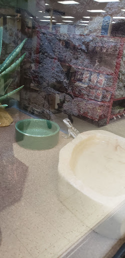 Pet Supply Store «Petco Animal Supplies», reviews and photos, 861 Williston Rd, South Burlington, VT 05403, USA