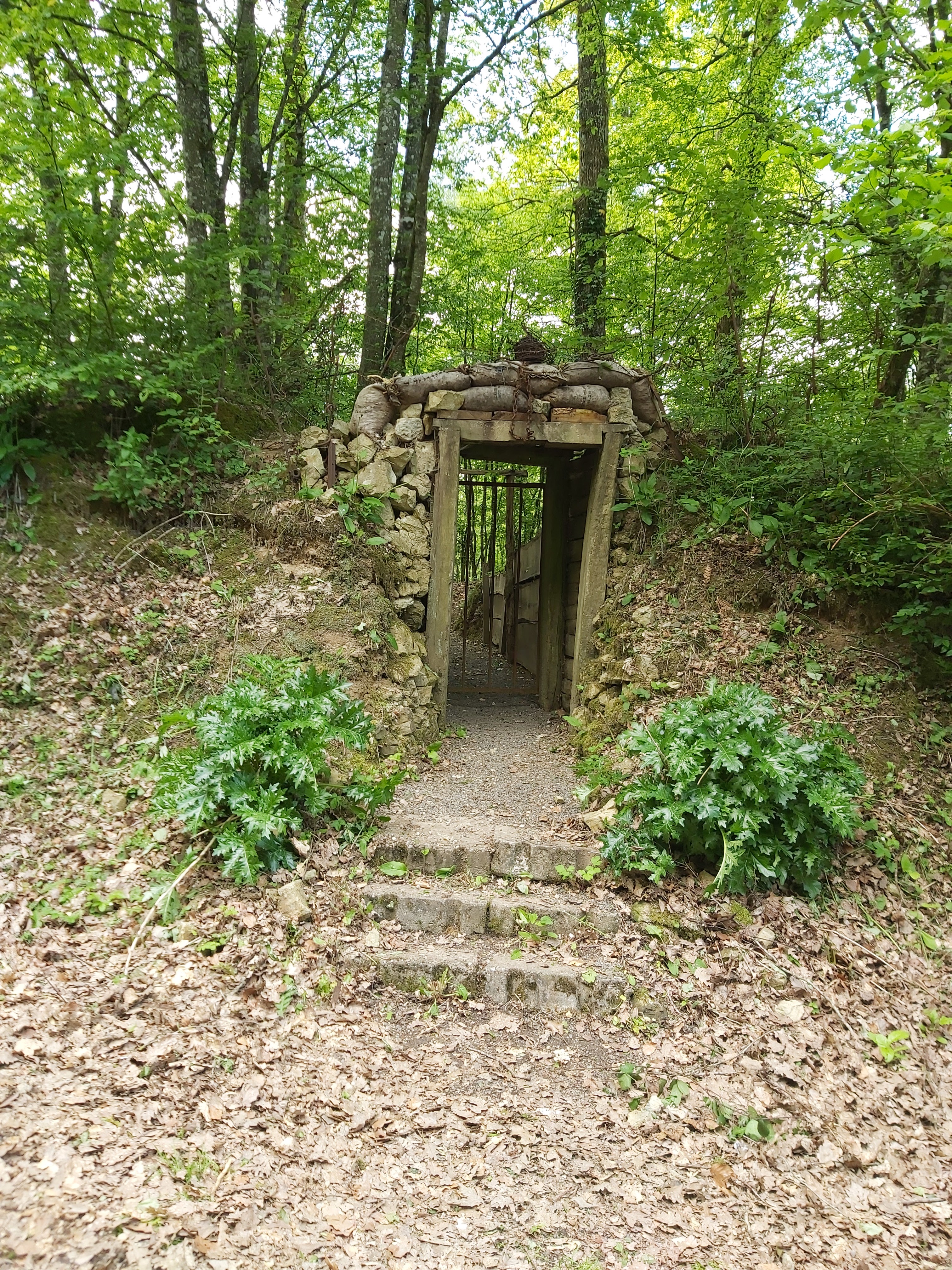 Photo n° 13 de l'avis de Angélique.a fait le 15/08/2023 à 16:22