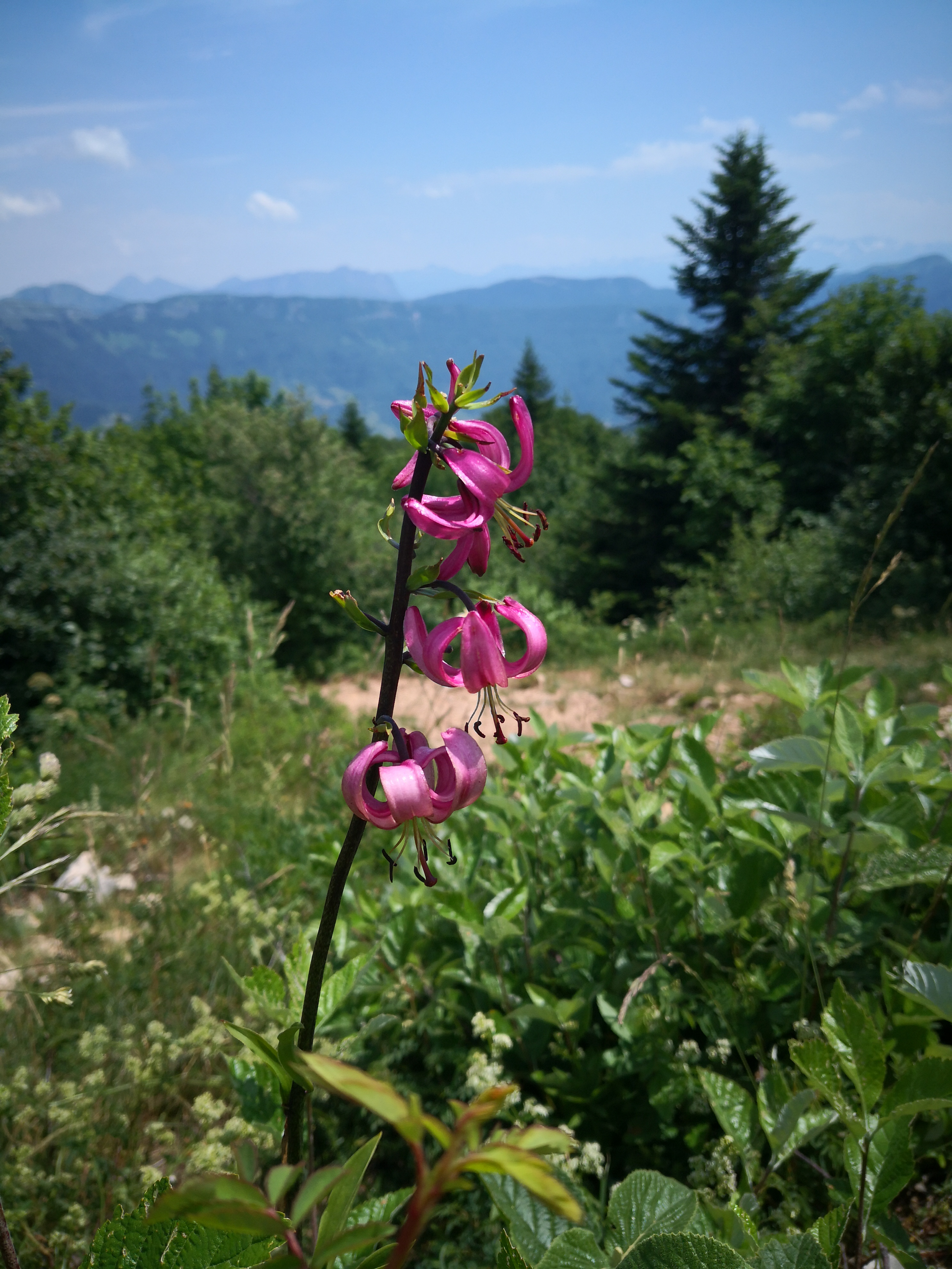 Photo n° 3 de l'avis de COLAS.y fait le 06/07/2019 à 16:35