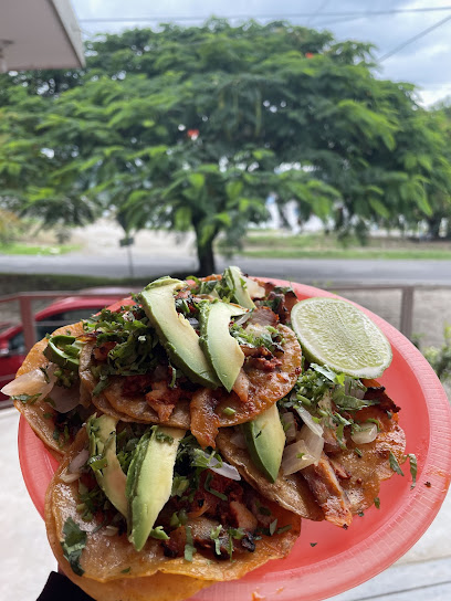 Taquería Santa Cruz - 93650 Tlapacoyan, Veracruz, Mexico