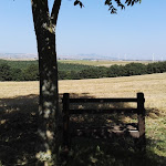 Photo n°19 de l'avis de Antonio.a fait le 03/07/2018 à 09:44 sur le  Agriturismo Carrera della Regina à Contrada Panetteria, Banzi