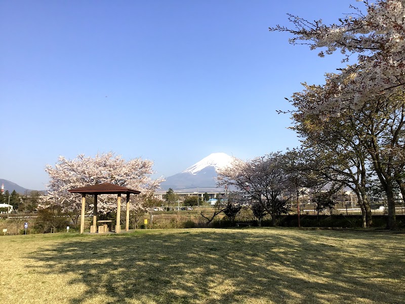 富士見原あじさい公園