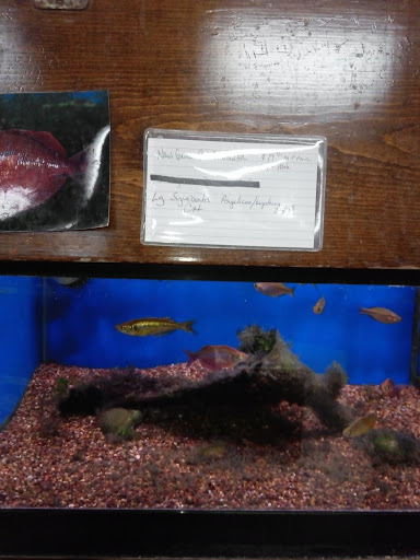 Pet Supply Store «Tropical World Pets», reviews and photos, 8444 Watson Rd, Webster Groves, MO 63119, USA