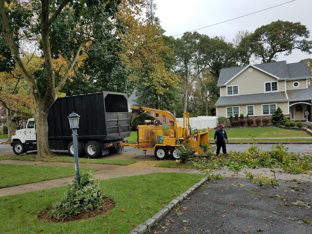 Ds Tree Services Corp.