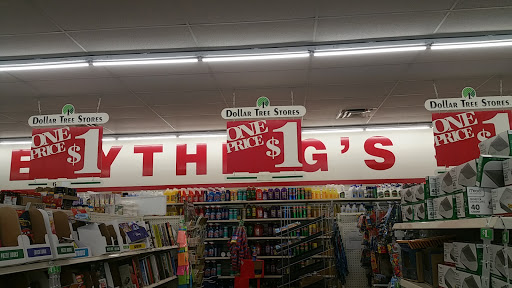 Dollar Store «Dollar Tree», reviews and photos, 1351 Southern Dunes Blvd, Haines City, FL 33844, USA