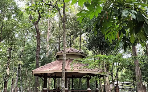 Huai Kaeo Arboretum image