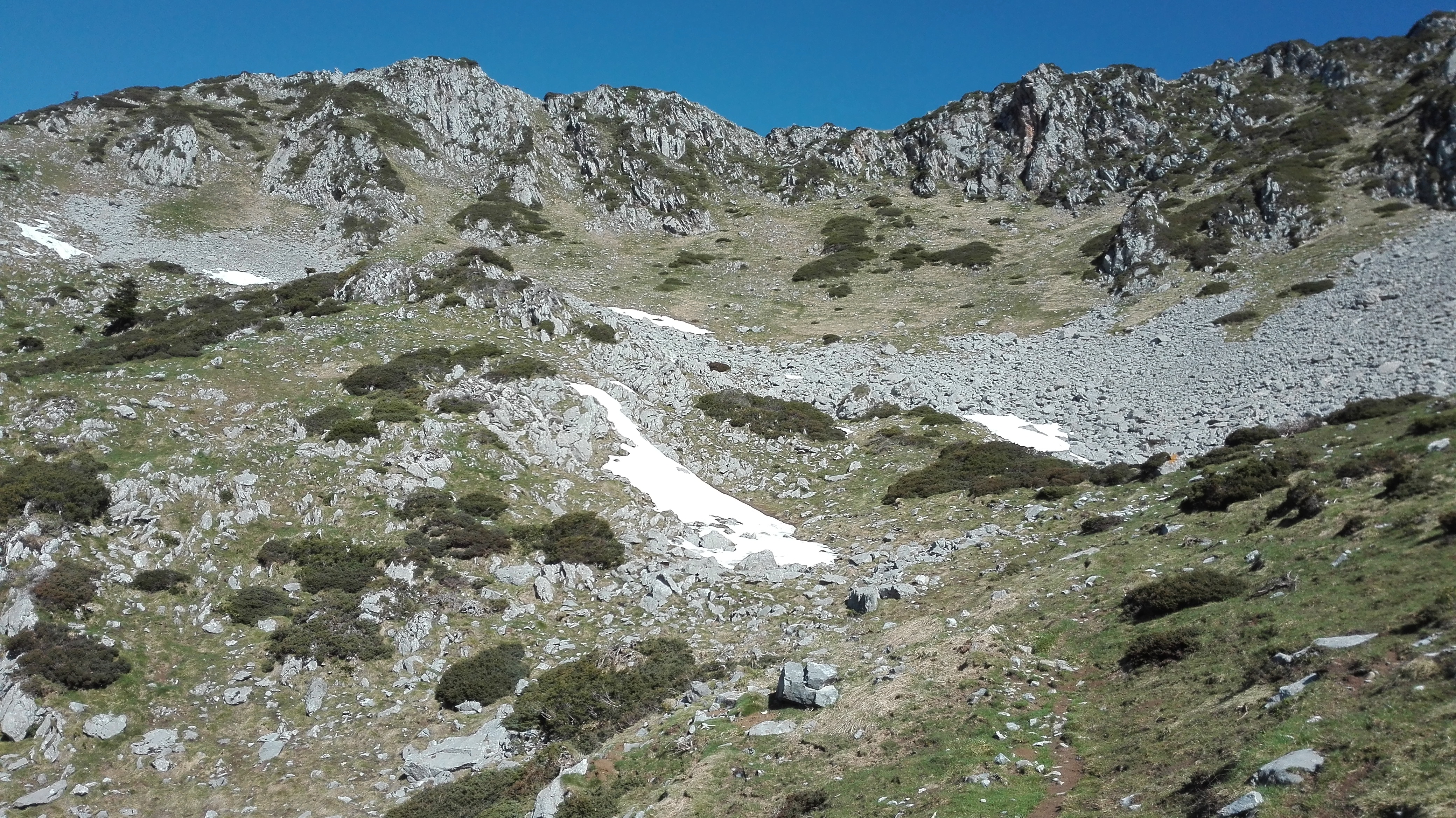 Photo n° 5 de l'avis de LOUIT.O fait le 11/05/2018 à 12:10