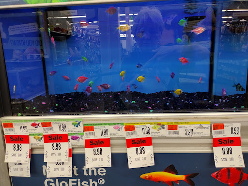 Pet Supply Store «Pet Supplies Plus», reviews and photos, 768 S Jefferson Ave c, Cookeville, TN 38501, USA