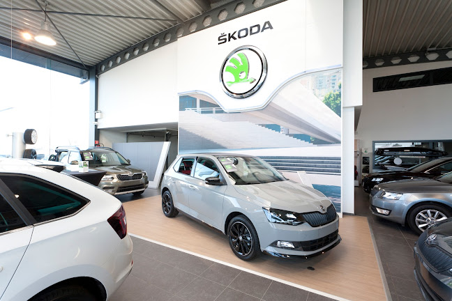 Reacties en beoordelingen van Volkswagen - Seat - Cupra - Skoda D'haene Mons (AB Mons)