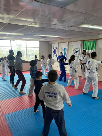 Sim Jang Taekwondo MJM