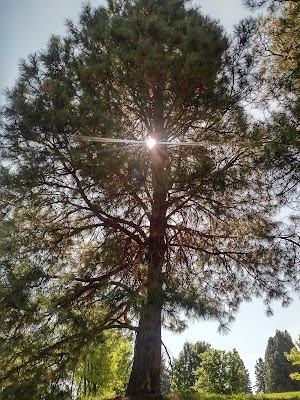 Sunnyside Park - photo 34