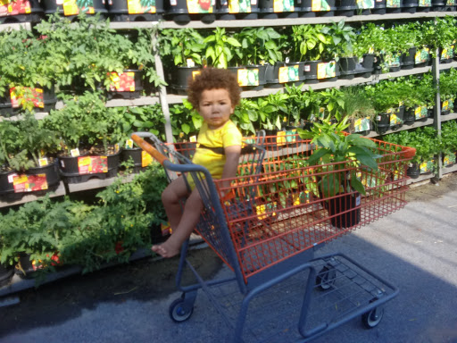 Home Improvement Store «The Home Depot», reviews and photos, 2300 Broadbirch Dr, Silver Spring, MD 20904, USA