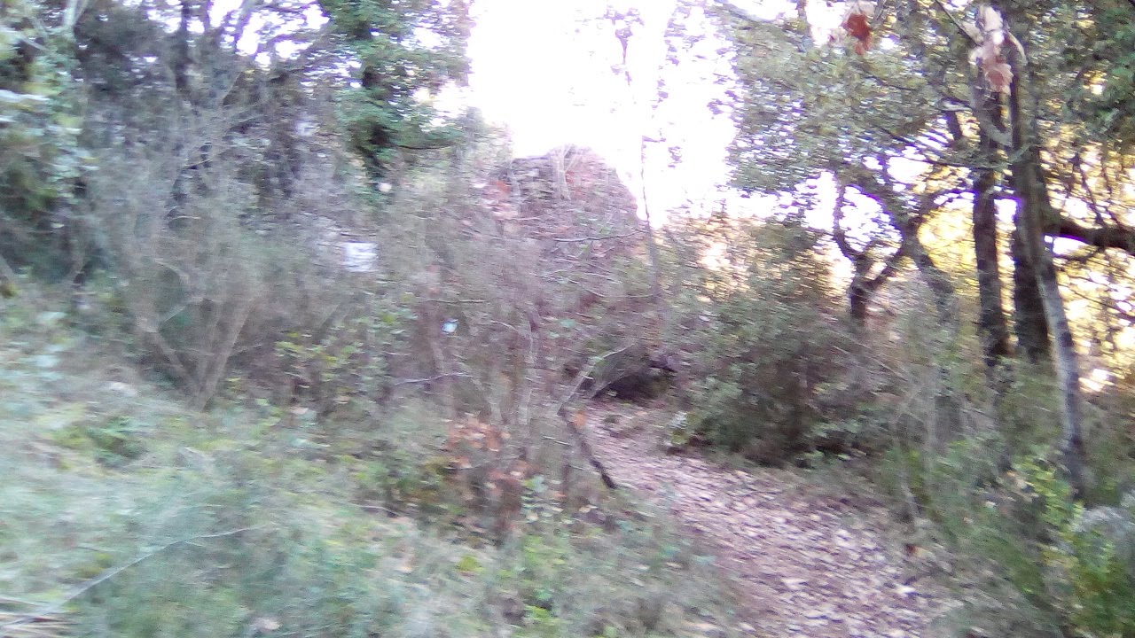 Photo n° 21 de l'avis de S.Israel.a fait le 08/02/2018 à 16:26