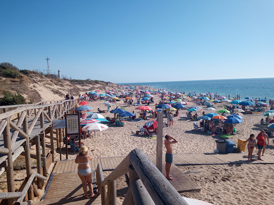Plaża Rota