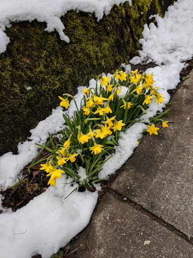 Park «Mt. Tabor Park», reviews and photos, SE Salmon St, Portland, OR 97215, USA